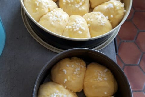 Cliquez pour zoomer ! Brioche Buchty Thermomix par monique_1965