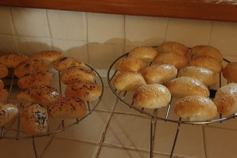 Cliquez pour zoomer ! Photo de mousse52300