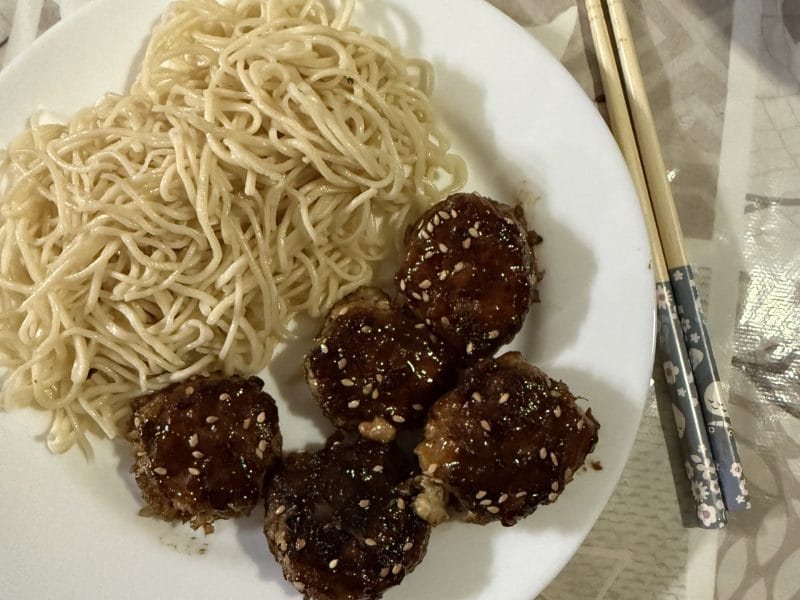 Cliquez pour zoomer ! Boulettes de poulet Yakitori – Tsukune Thermomix par Frantz