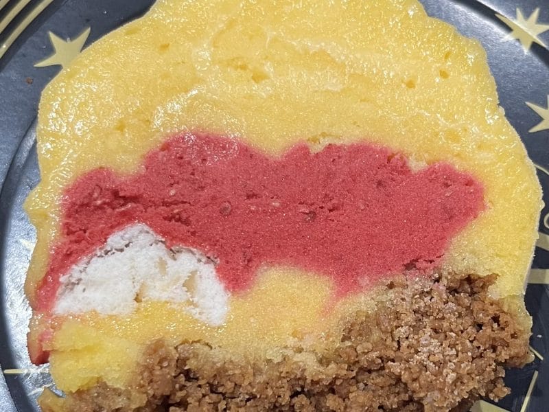 Cliquez pour zoomer ! Bûche glacée mangue et framboise Thermomix par patie_2002