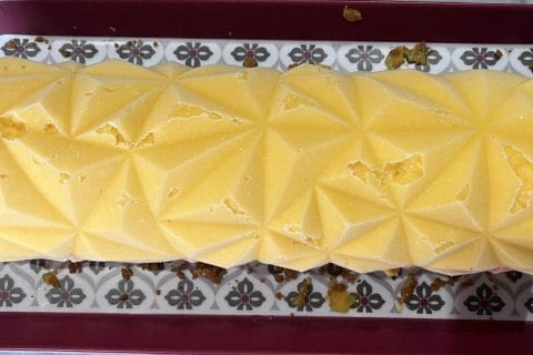 Cliquez pour zoomer ! Bûche glacée mangue et framboise Thermomix par patie_2002