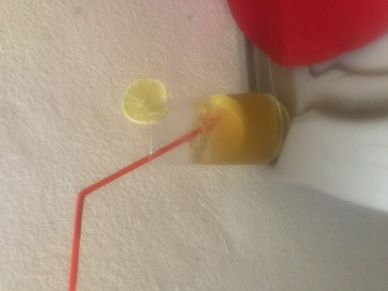 Cliquez pour zoomer ! Sirop de thé glacé – Ice tea citron menthe Thermomix par karenluxelle