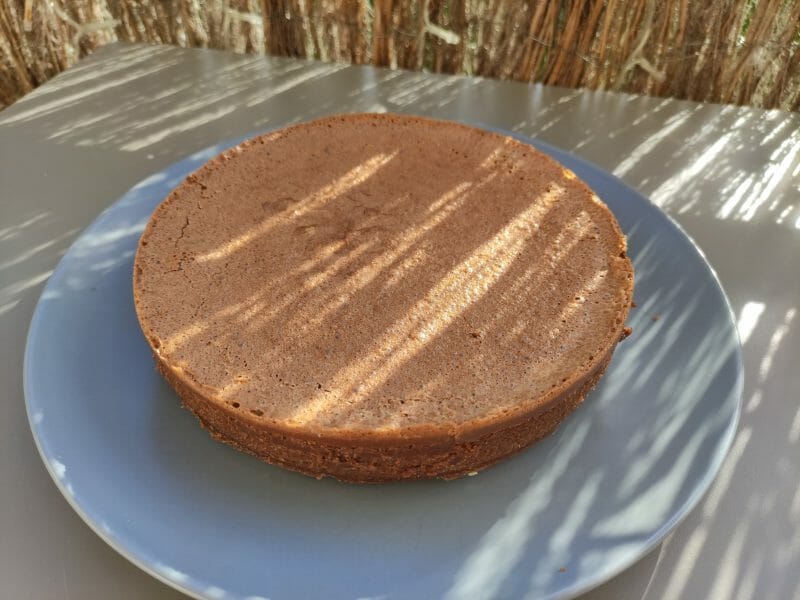 Cliquez pour zoomer ! Fondant Baulois Thermomix par DIDIE45