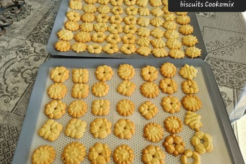 Cliquez pour zoomer ! Photo de zoupette66