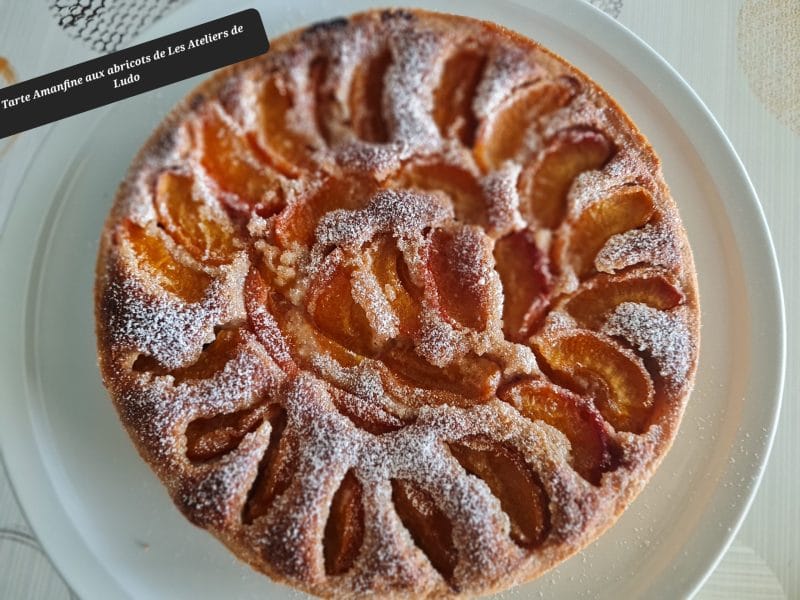 Cliquez pour zoomer ! Tarte amandine aux abricots Thermomix par zoupette66