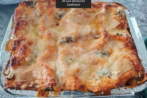 Cliquez pour zoomer ! Lasagnes au saumon et aux épinards Thermomix par zoupette66