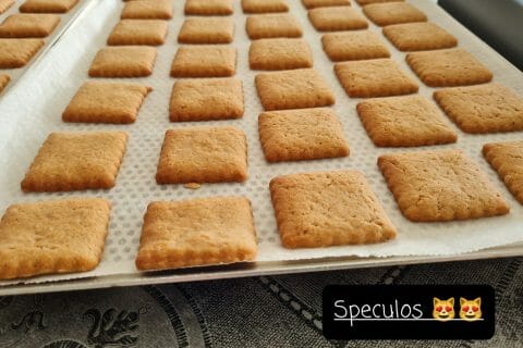 Cliquez pour zoomer ! Spéculoos Thermomix par zoupette66