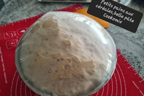 Cliquez pour zoomer ! Petits pains aux céréales Thermomix par zoupette66