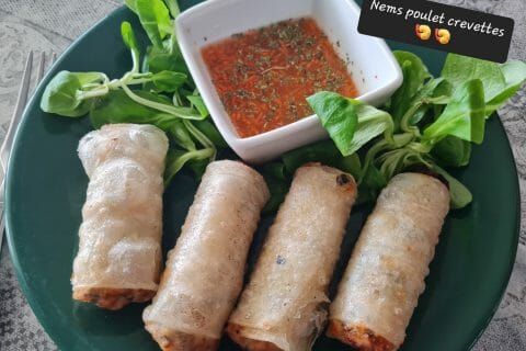 Cliquez pour zoomer ! Nems au poulet Thermomix par zoupette66
