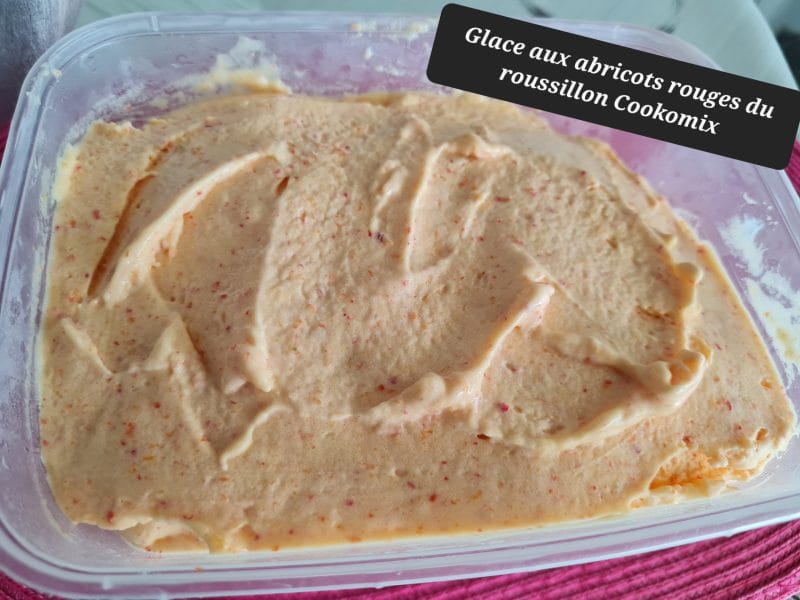 Cliquez pour zoomer ! Sorbet à l’abricot Thermomix par zoupette66