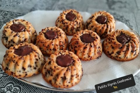 Cliquez pour zoomer ! Tigrés au chocolat Thermomix par zoupette66
