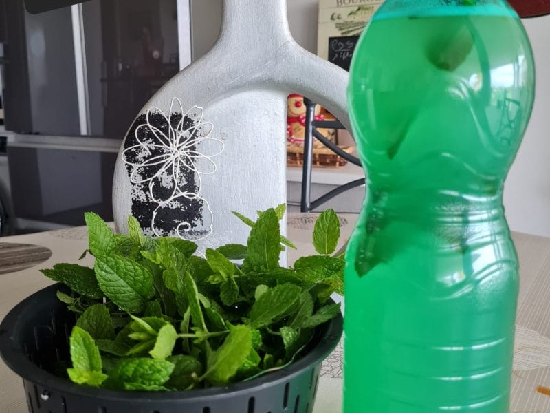 Cliquez pour zoomer ! Lemon mint Thermomix par zoupette66