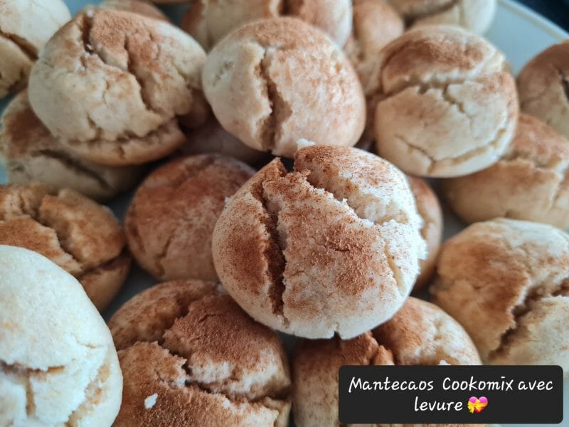 Cliquez pour zoomer ! Mantecados Thermomix par zoupette66