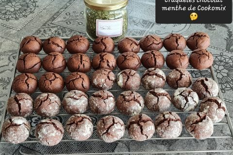 Cliquez pour zoomer ! Petits craquelés choco-menthe Thermomix par zoupette66