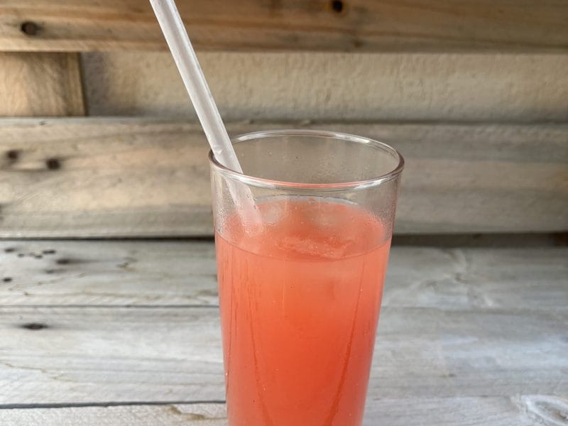 Cliquez pour zoomer ! Smoothie pastèque et fruits du soleil Thermomix par elise2712