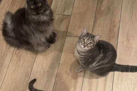 Cliquez pour zoomer ! Photo de elise2712