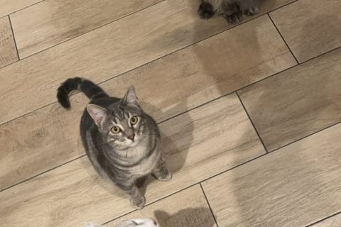 Cliquez pour zoomer ! Photo de elise2712