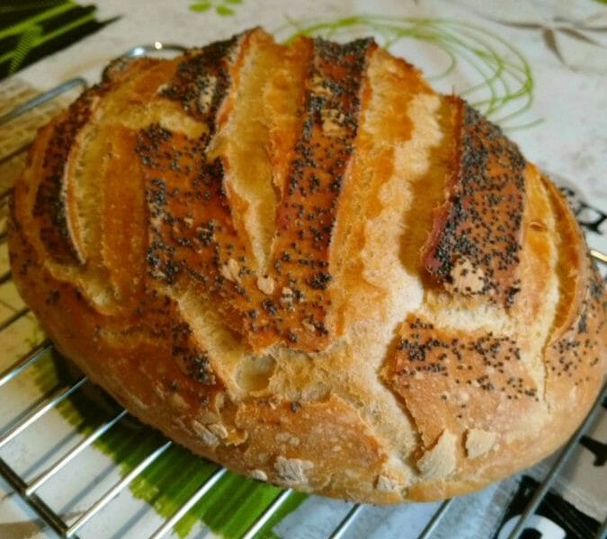 Cliquez pour zoomer ! Pain Cocotte Thermomix par Roboam