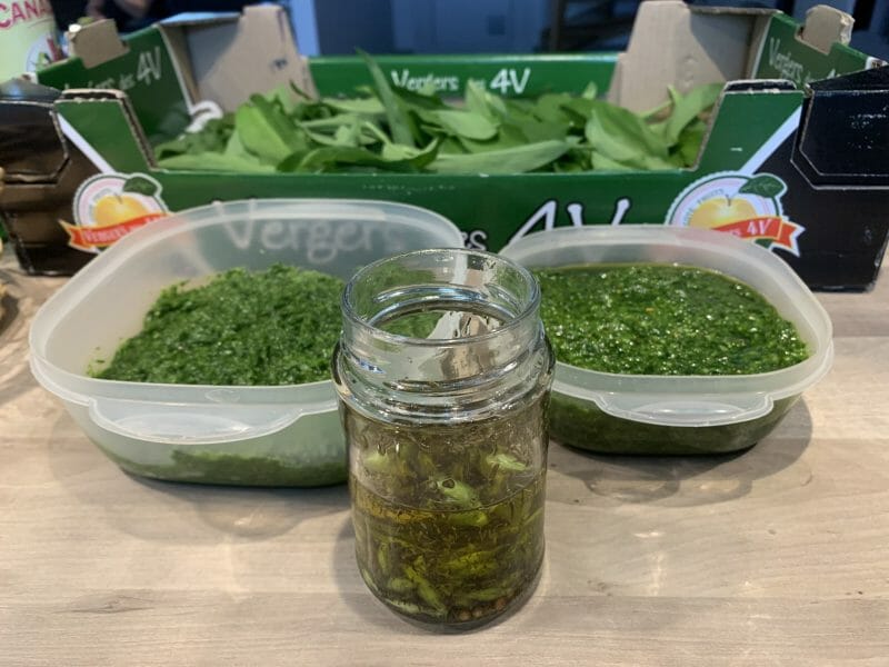 Cliquez pour zoomer ! Pesto à l’ail des ours Thermomix par Meliimeloo