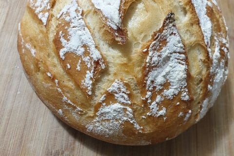 Photos des recettes