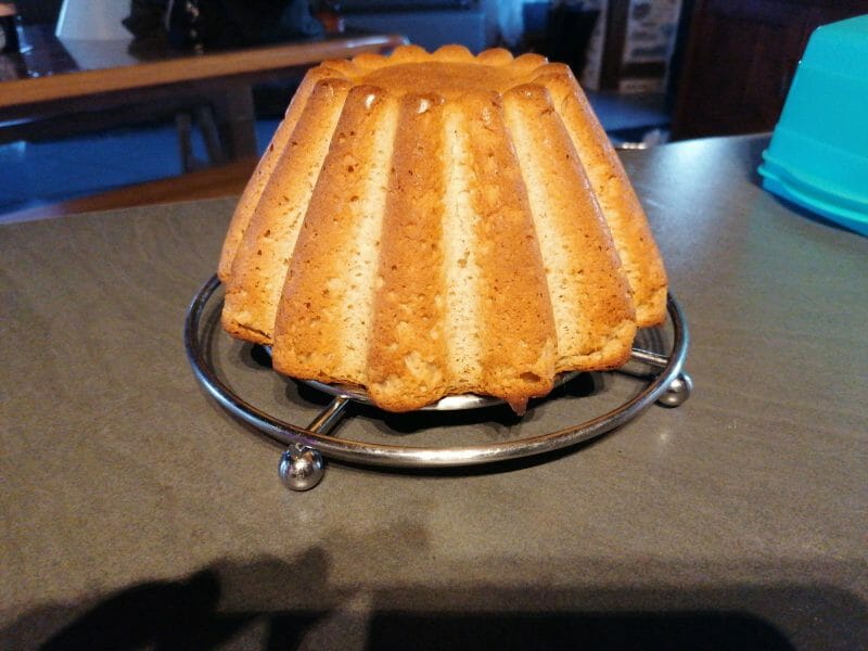 Cliquez pour zoomer ! Brioche express Thermomix par Vivie07