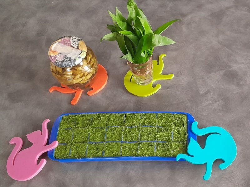 Cliquez pour zoomer ! Pesto à l’ail des ours Thermomix par nafnaf_1