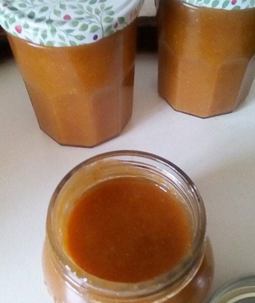 Cliquez pour zoomer ! Confiture d’abricots Thermomix par Sandrine34110