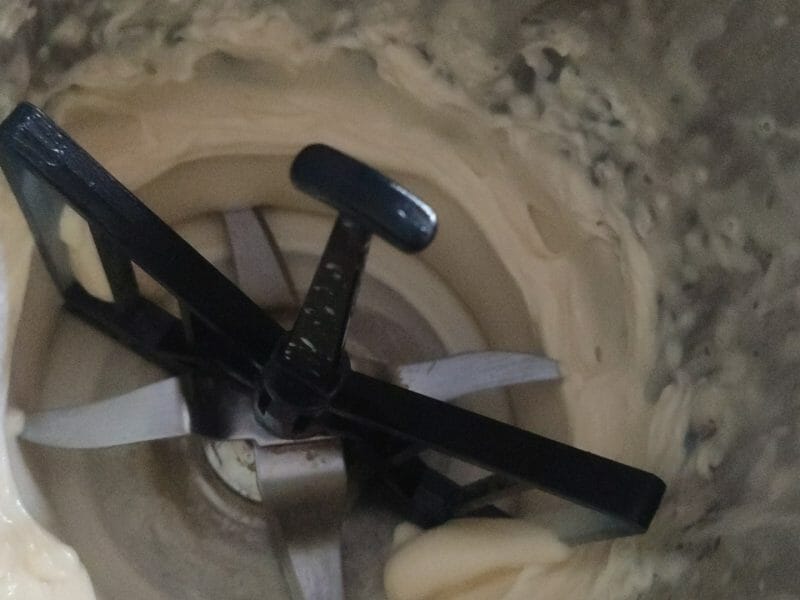 Cliquez pour zoomer ! Mayonnaise au citron Thermomix par 🐱UnchatEnCuisine