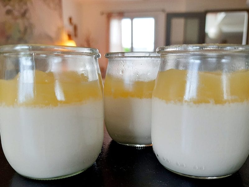 Cliquez pour zoomer ! Panna cotta ananas et lait de coco Thermomix par BobbieRookmoot