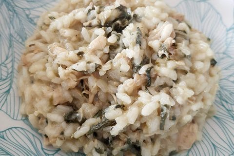 Photos des recettes