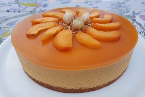 Cliquez pour zoomer ! Bavarois à l’abricot Thermomix par BobbieRookmoot