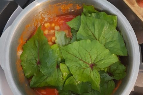 Cliquez pour zoomer ! Photo de BobbieRookmoot