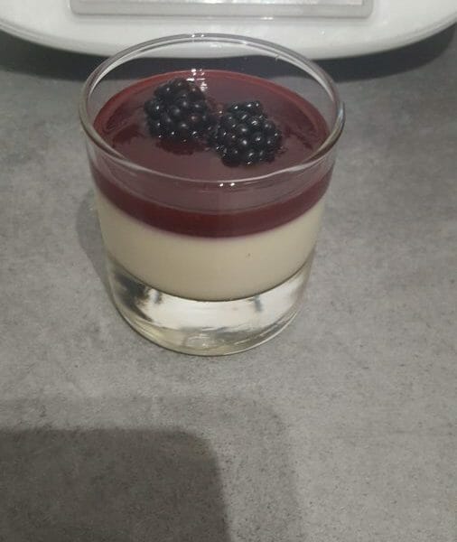 Cliquez pour zoomer ! Panna Cotta Thermomix par Juju4740