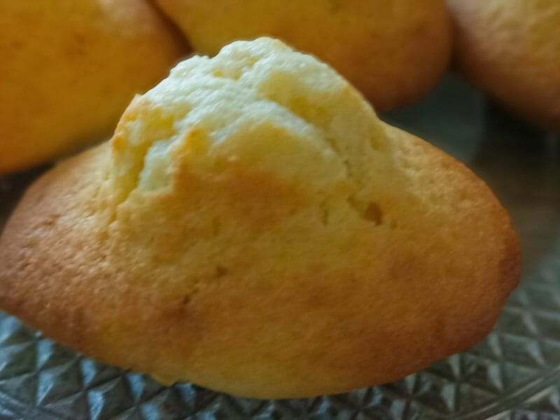 Cliquez pour zoomer ! Madeleines Thermomix par auroreinthekitchen