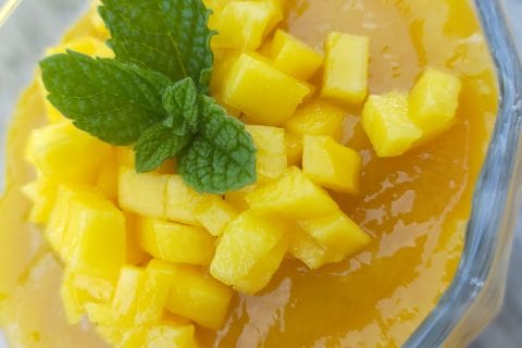 Cliquez pour zoomer ! Panna cotta coco mangue Thermomix par moonix