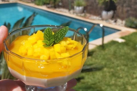 Cliquez pour zoomer ! Panna cotta coco mangue Thermomix par moonix