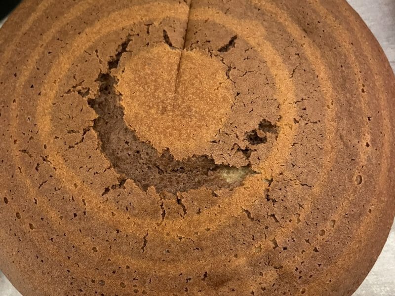 Cliquez pour zoomer ! Gâteau zébré Thermomix par christelle_730