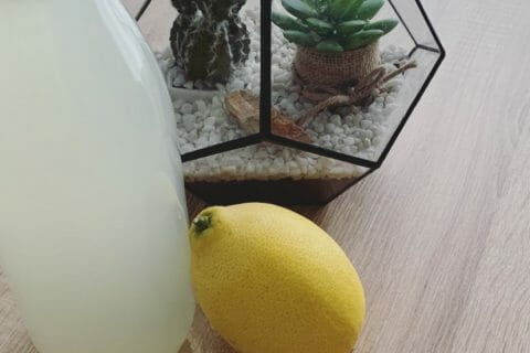Cliquez pour zoomer ! Citronnade au Thermomix