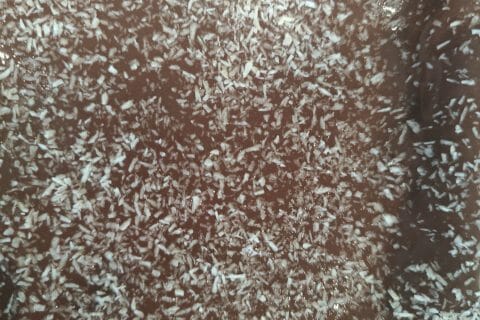 Cliquez pour zoomer ! Cake chocolat noisettes fondant Thermomix par melnov