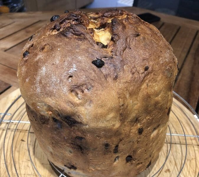 Cliquez pour zoomer ! Panettone Thermomix par Sonste