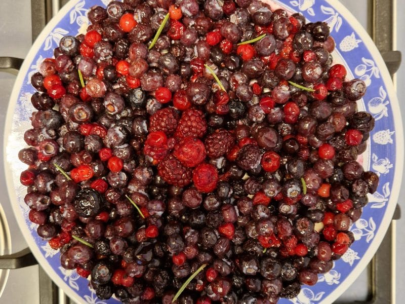 Cliquez pour zoomer ! Tarte aux fraises sans cuisson Thermomix par red74