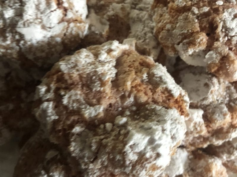 Cliquez pour zoomer ! Craquelés aux biscuits roses de Reims Thermomix par machi