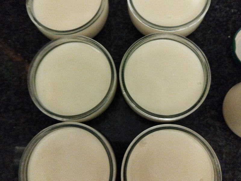 Cliquez pour zoomer ! Crème à la vanille au lait de soja Thermomix par annepe