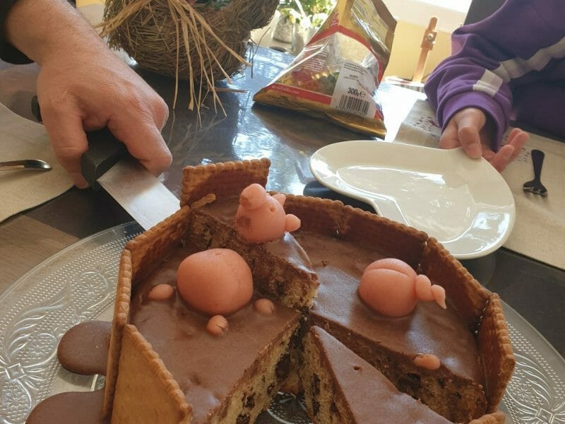 Cliquez pour zoomer ! La mare aux cochons Thermomix par Leoninad