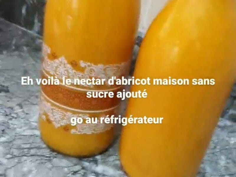 Cliquez pour zoomer ! Nectar d’abricot Thermomix par Sana oum maryam