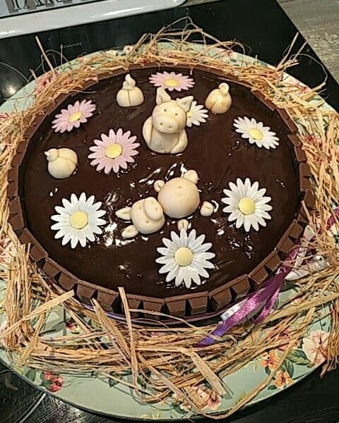 Cliquez pour zoomer ! La mare aux cochons Thermomix par EloMia