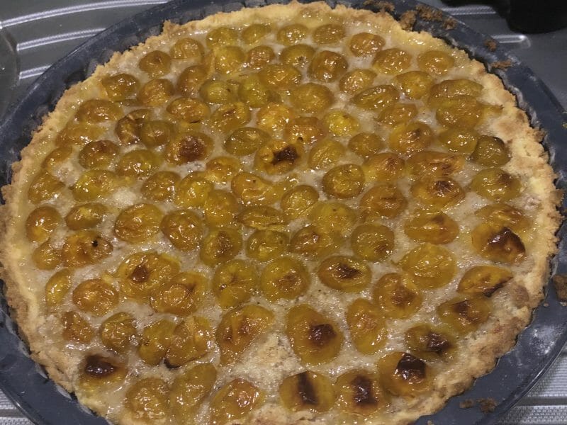 Cliquez pour zoomer ! Tarte aux mirabelles Thermomix par Nanadu25
