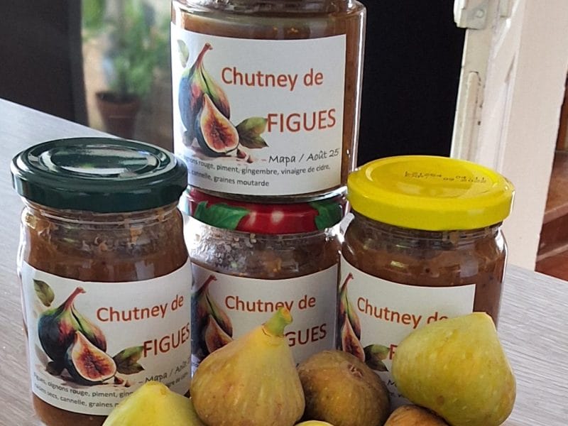 Cliquez pour zoomer ! Chutney d’oignons rouges et figues Thermomix par mapa24