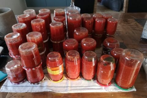 Photos des recettes