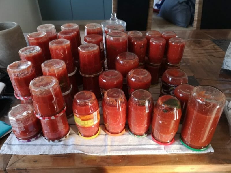 Coulis De Tomates Au Thermomix Cookomix Coulis De Tomates Au Thermomix Cookomix